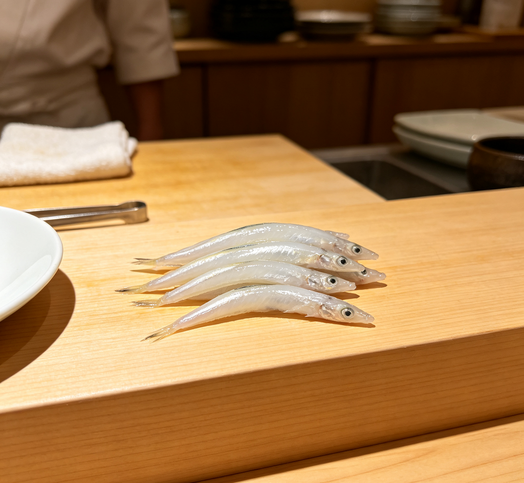 Silver Fish